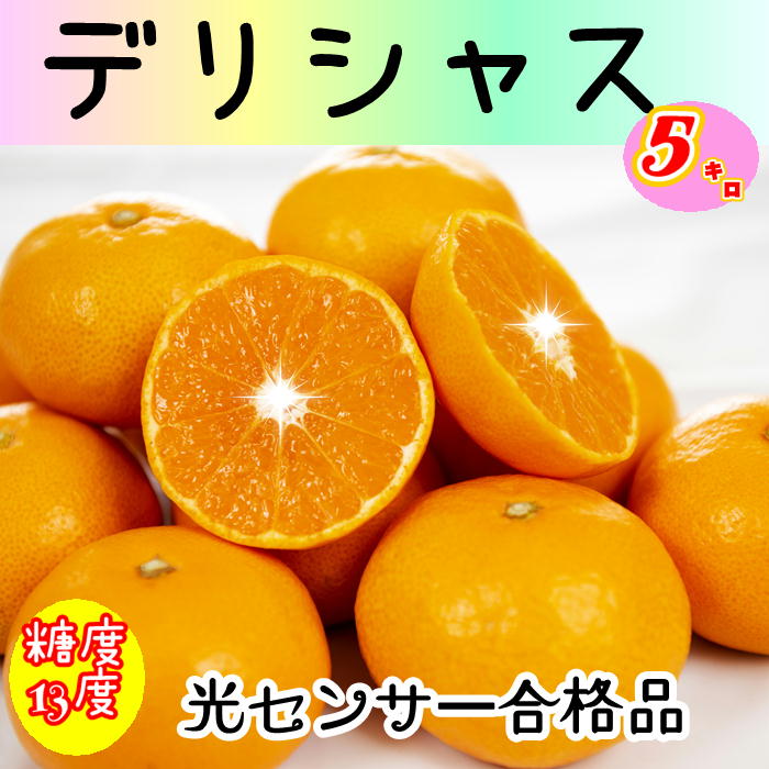 【みかんです】 熊本県 JA熊本市 夢未来温州みかん 小玉SからSSサイズ（35玉から
